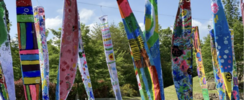 Biennale du vent - Initiations aux techniques du vent