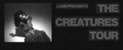 Lamb  