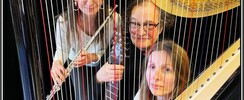 HarpiStick trio - Concert, Evènementiel, Animation